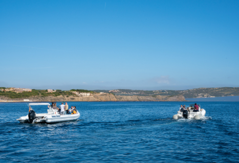 activités team building les embiez bateau