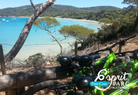 activité team building Porquerolles vélo