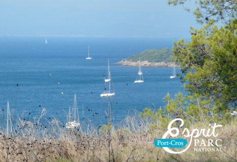 Activités team building Porquerolles visites guidées